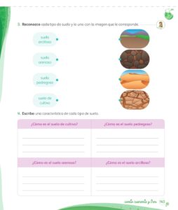 Libro Ciencia y Tecnología – Mi cuaderno de autoaprendizaje 1 – Pág 145 – Resuelto pdf