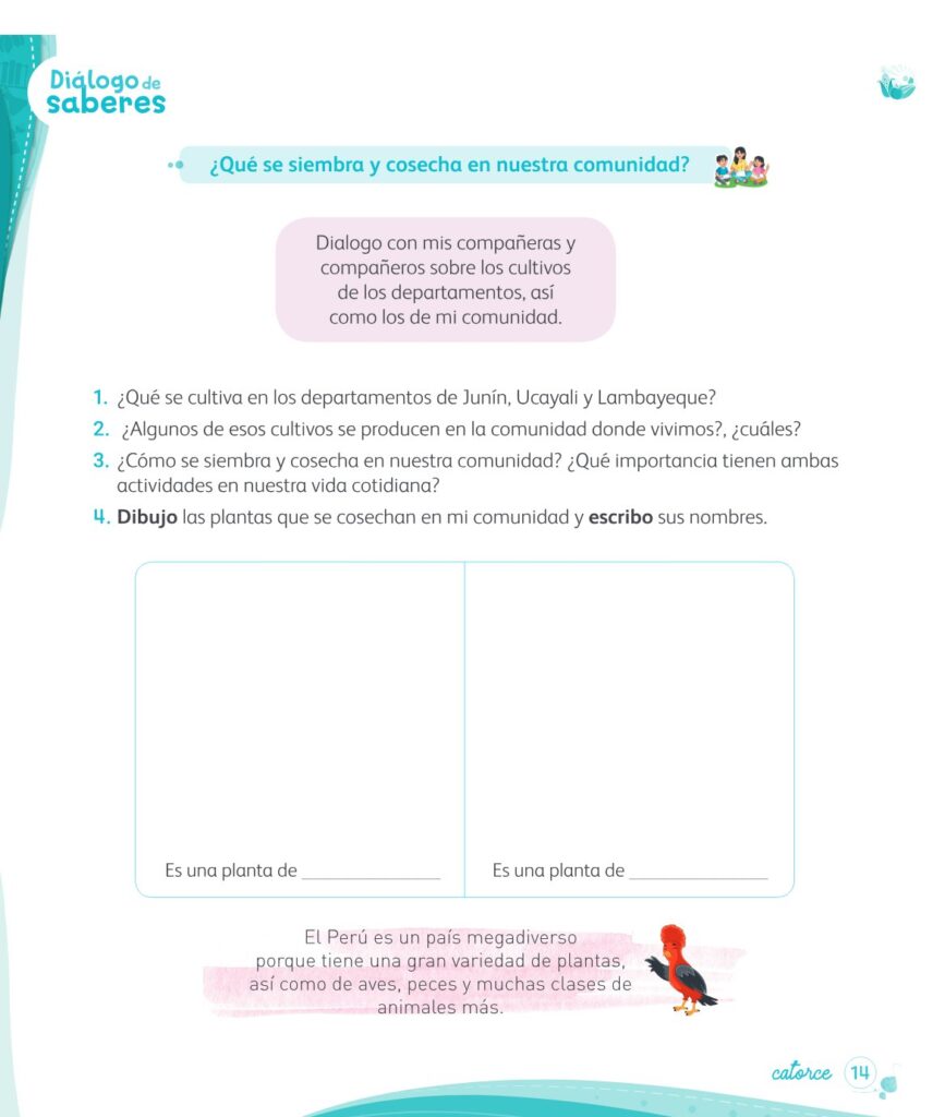 Ciencia y Tecnología – Mi cuaderno de autoaprendizaje 1 - Página 16 - Contenido informativo Resumido