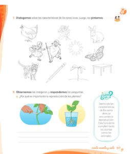 Libro Ciencia y Tecnología – Mi cuaderno de autoaprendizaje 1 – Pág 169 – Resuelto pdf