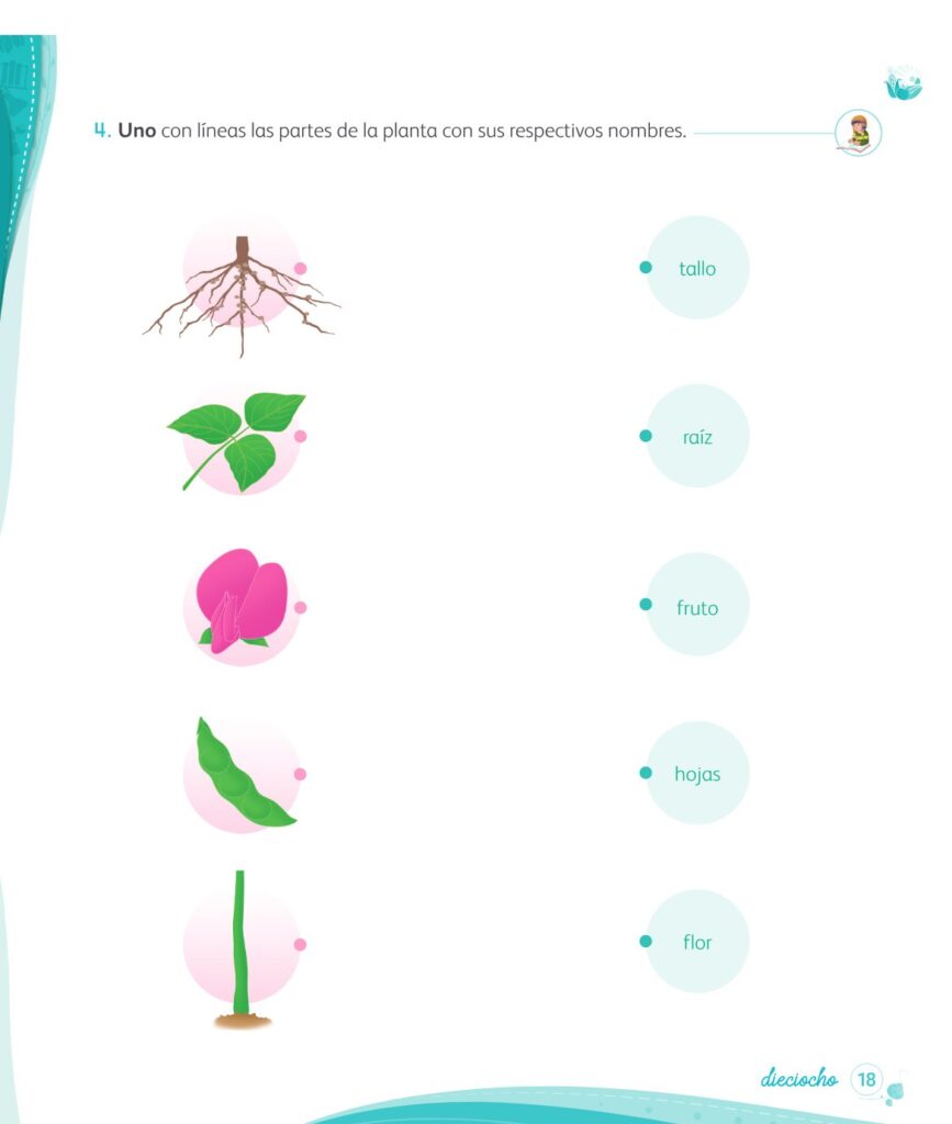 Ciencia y Tecnología – Mi cuaderno de autoaprendizaje 1 - Página 20 - Contenido informativo Resumido