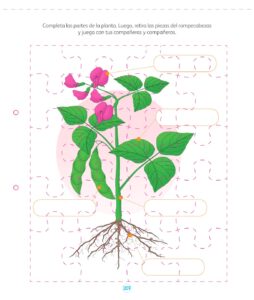 Libro Ciencia y Tecnología – Mi cuaderno de autoaprendizaje 1 – Pág 209 – Resuelto pdf