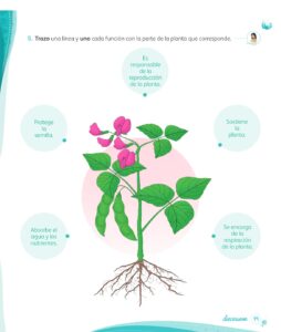 Libro Ciencia y Tecnología – Mi cuaderno de autoaprendizaje 1 – Pág 21 – Resuelto pdf