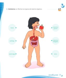 Libro Ciencia y Tecnología – Mi cuaderno de autoaprendizaje 1 – Pág 61 – Resuelto pdf