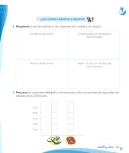 Libro Ciencia y Tecnología – Mi cuaderno de autoaprendizaje 1 – Pág 67 – Resumido pdf