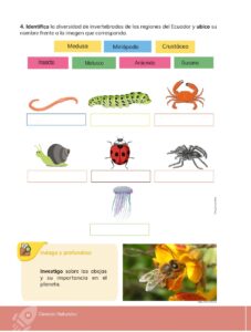 Libro Ciencias Naturales – Educacion General Basica – Subnivel Media – Septimo de Basica – Pág 11 – Resuelto pdf