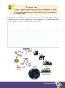 Libro Ciencias Naturales – Educacion General Basica – Subnivel Superior – Octavo de Basica – Pág 12 – Resumido pdf