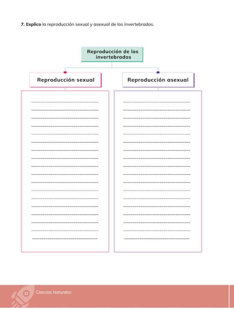Ciencias Naturales - Educacion General Basica - Subnivel Med - Página 13 - Contenido informativo Resumido