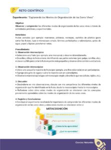 Libro CIENCIAS NATURALES – Educación General Básica – Subnivel Superior – Noveno de Básica – Pág 14 – Resumido pdf