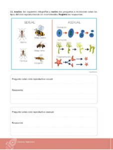 Libro Ciencias Naturales – Educacion General Basica – Subnivel Media – Septimo de Basica – Pág 17 – Resuelto pdf