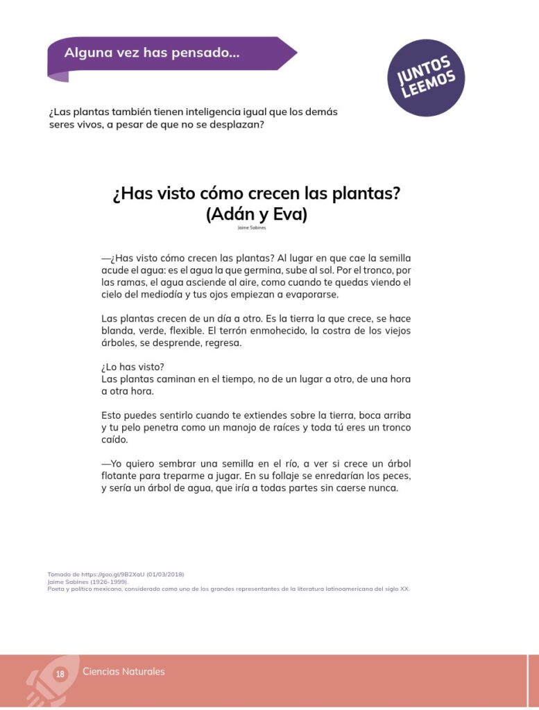 Ciencias Naturales - Educacion General Basica - Subnivel Med - Página 19 - Contenido informativo Resumido