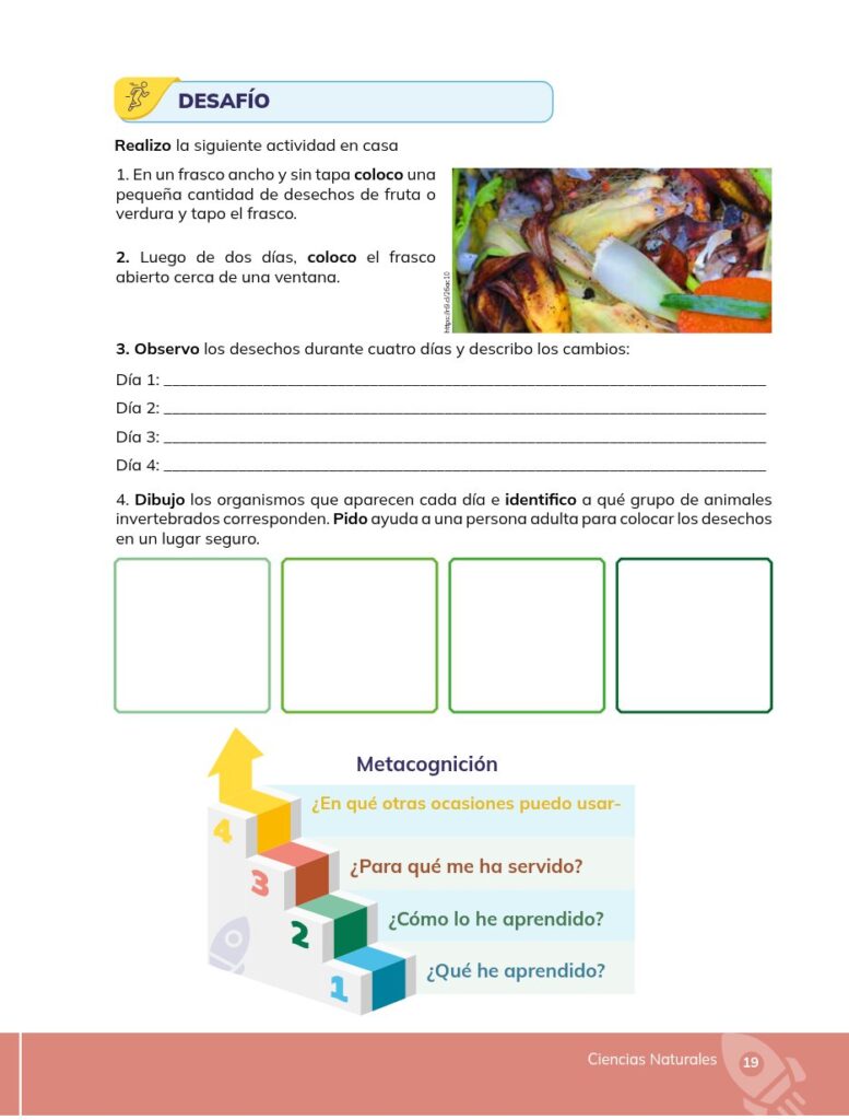 Ciencias Naturales - Educacion General Basica - Subnivel Med - Página 20 - Ejercicios Resuelto