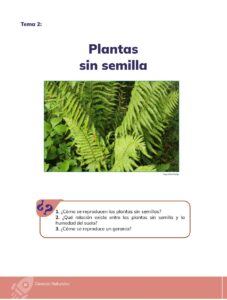 Libro Ciencias Naturales – Educacion General Basica – Subnivel Media – Septimo de Basica – Pág 21 – Resumido pdf
