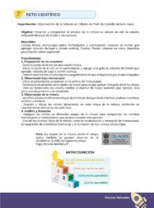 Libro CIENCIAS NATURALES – Educación General Básica – Subnivel Superior – Noveno de Básica – Pág 22 – Resumido pdf
