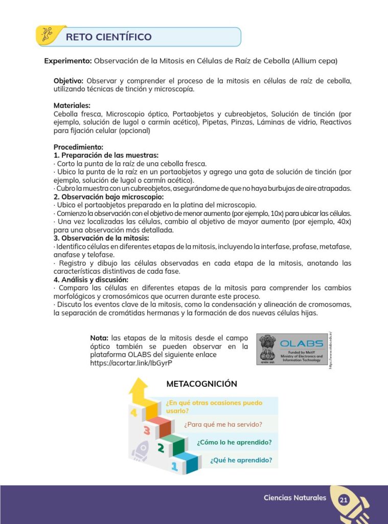 CIENCIAS NATURALES - Educación General Básica - Subnivel Sup - Página 22 - Lectura Resumido