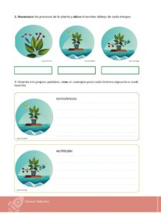 Libro Ciencias Naturales – Educacion General Basica – Subnivel Media – Septimo de Basica – Pág 23 – Resumido pdf