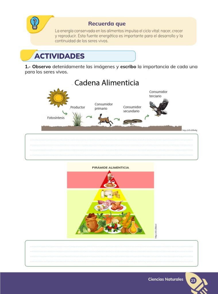 CIENCIAS NATURALES - Educación General Básica - Subnivel Sup - Página 24 - Ejercicios Resuelto