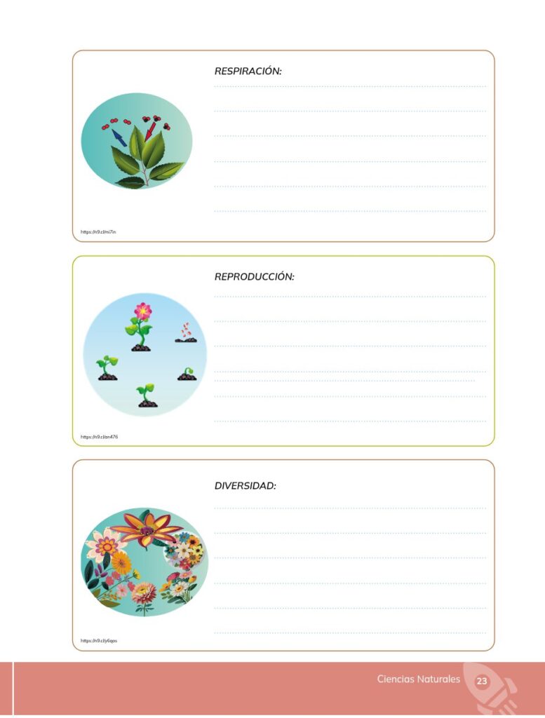 Ciencias Naturales - Educacion General Basica - Subnivel Med - Página 24 - Contenido informativo Resumido