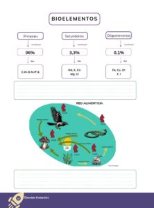 Libro CIENCIAS NATURALES – Educación General Básica – Subnivel Superior – Noveno de Básica – Pág 25 – Resumido pdf