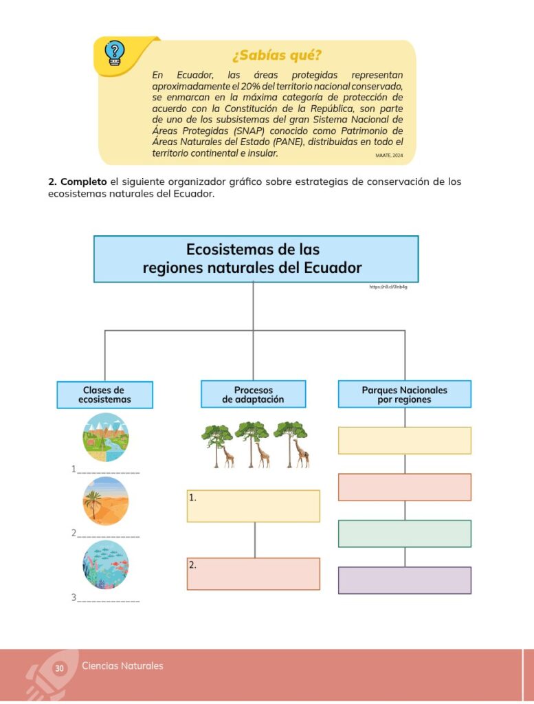 Ciencias Naturales - Educacion General Basica - Subnivel Med - Página 31 - Contenido informativo Resuelto