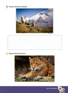 Libro CIENCIAS NATURALES – Educación General Básica – Subnivel Superior – Noveno de Básica – Pág 36 – Resumido pdf