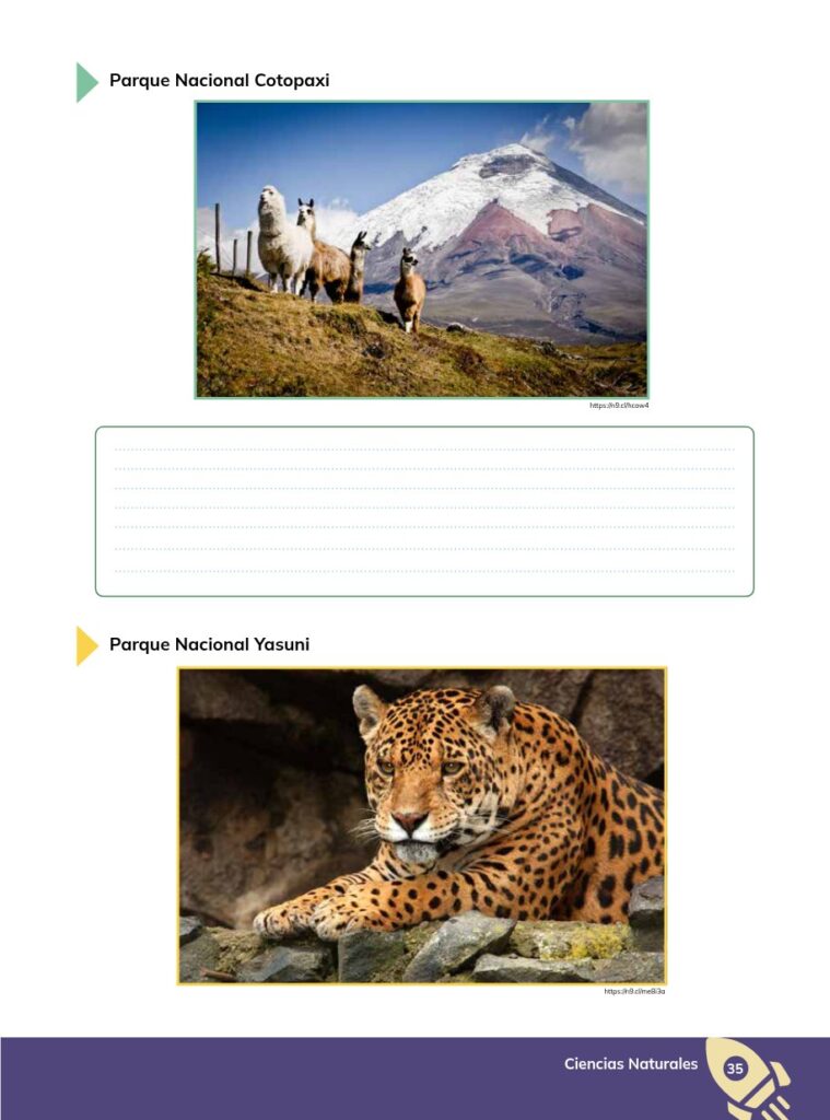 CIENCIAS NATURALES - Educación General Básica - Subnivel Sup - Página 36 - Contenido informativo Resumido