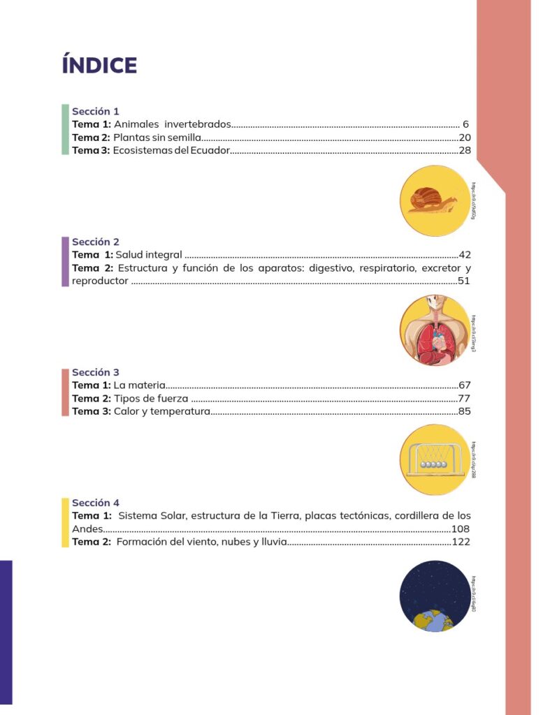 Ciencias Naturales - Educacion General Basica - Subnivel Med - Página 4 - Contenido Resumido