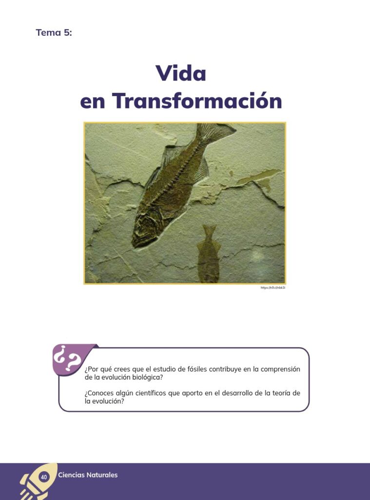 CIENCIAS NATURALES - Educación General Básica - Subnivel Sup - Página 41 - Portada Resumido