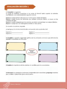 Libro Ciencias Naturales – Educacion General Basica – Subnivel Media – Septimo de Basica – Pág 41 – Resuelto pdf