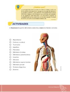 Libro Ciencias Naturales – Educacion General Basica – Subnivel Media – Septimo de Basica – Pág 44 – Resuelto pdf