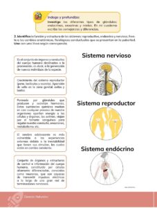 Libro Ciencias Naturales – Educacion General Basica – Subnivel Media – Septimo de Basica – Pág 45 – Resumido pdf