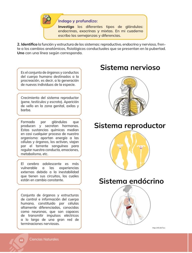 Ciencias Naturales - Educacion General Basica - Subnivel Med - Página 45 - Contenido informativo Resumido