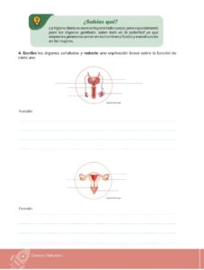 Libro Ciencias Naturales – Educacion General Basica – Subnivel Media – Septimo de Basica – Pág 47 – Resuelto pdf
