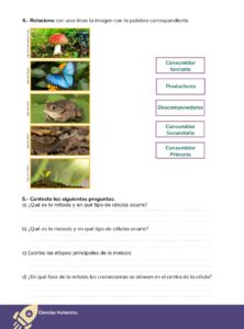 Libro CIENCIAS NATURALES – Educación General Básica – Subnivel Superior – Noveno de Básica – Pág 49 – Resuelto pdf