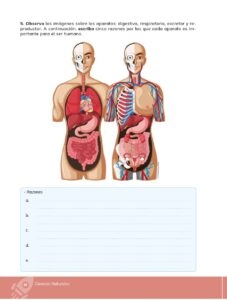 Libro Ciencias Naturales – Educacion General Basica – Subnivel Media – Septimo de Basica – Pág 57 – Resuelto pdf