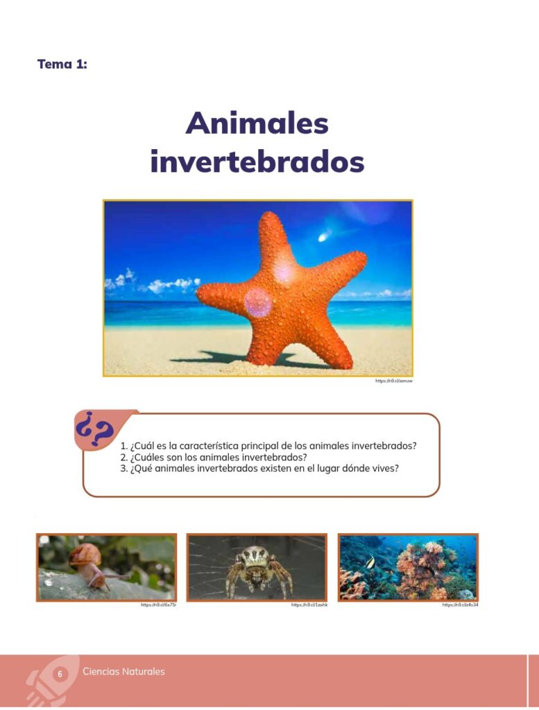Ciencias Naturales - Educacion General Basica - Subnivel Med - Página 7 - Ejercicios Resuelto