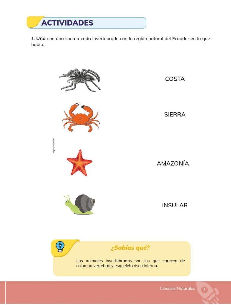 Ciencias Naturales - Educacion General Basica - Subnivel Med - Página 8 - Ejercicios Resuelto