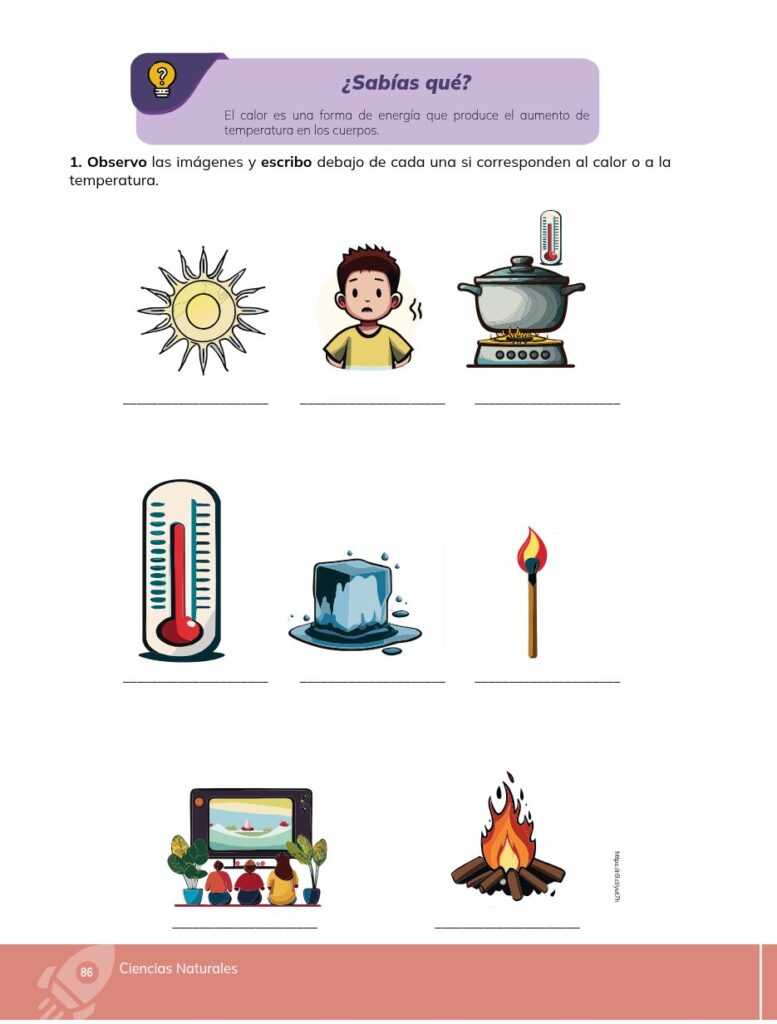 Ciencias Naturales - Educacion General Basica - Subnivel Med - Página 87 - Ejercicios Resuelto
