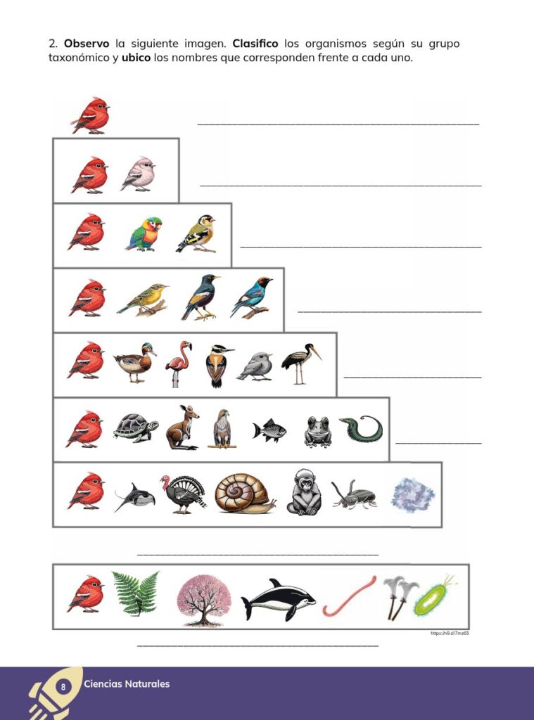 CIENCIAS NATURALES - Educación General Básica - Subnivel Sup - Página 9 - Ejercicios Resuelto