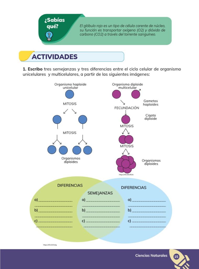 CIENCIAS NATURALES – Educación General Básica – Subnivel Sup - Página 16 - Ejercicios Resuelto