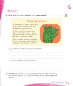Libro Comunicación – 1 – Mi cuaderno de autoaprendizaje – Pág 194 – Resuelto pdf