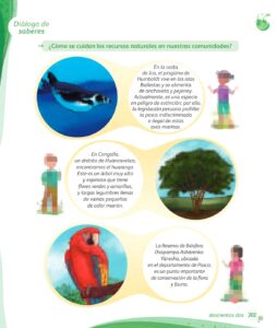 Libro Comunicación – 1 – Mi cuaderno de autoaprendizaje – Pág 204 – Resumido pdf