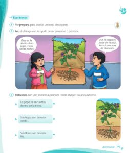 Libro Comunicación – 1 – Mi cuaderno de autoaprendizaje – Pág 21 – Resuelto pdf