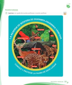 Libro Comunicación – 1 – Mi cuaderno de autoaprendizaje – Pág 223 – Resumido pdf