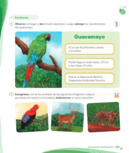 Libro Comunicación – 1 – Mi cuaderno de autoaprendizaje – Pág 226 – Resuelto pdf