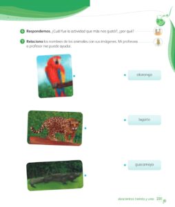 Libro Comunicación – 1 – Mi cuaderno de autoaprendizaje – Pág 233 – Resuelto pdf