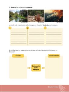 Libro Estudios Sociales – Educación General Básica – Séptimo de Básica – Pág 174 – Resuelto pdf