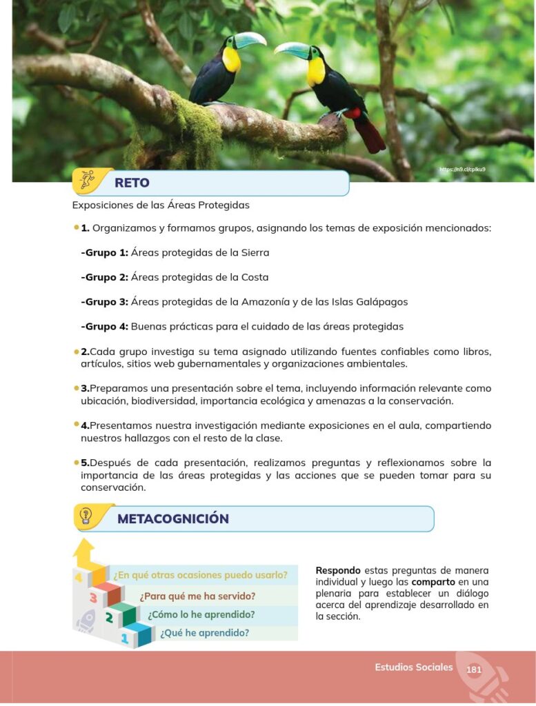 Estudios Sociales - Educación General Básica - Séptimo de Bá - Página 182 - Proyecto Resumido