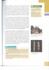 Libro Historia – Bachillerato General – Texto de consulta y cuaderno de trabajo – 1 – Pág 34 – Resumido pdf
