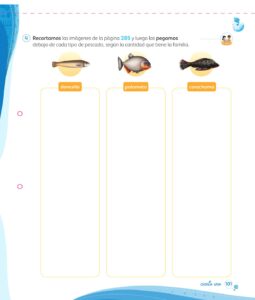 Libro Matemática 1 – Mi cuaderno de autoaprendizaje – Pág 101 – Resuelto pdf