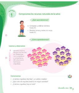 Libro Matemática 1 – Mi cuaderno de autoaprendizaje – Pág 205 – Resuelto pdf